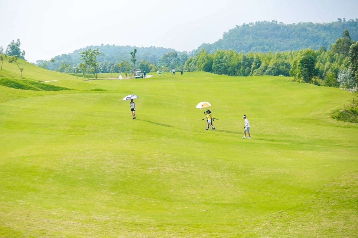 앰버힐스 사진 6
